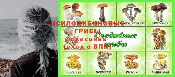 таблы Алзамай