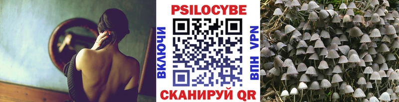 Галлюциногенные грибы Psilocybe  Томск 