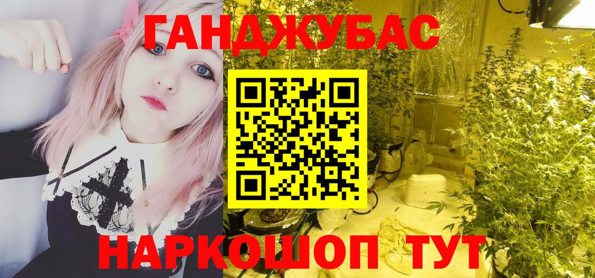 Конопля сатива Томск
